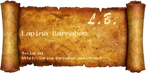 Lapina Barnabás névjegykártya